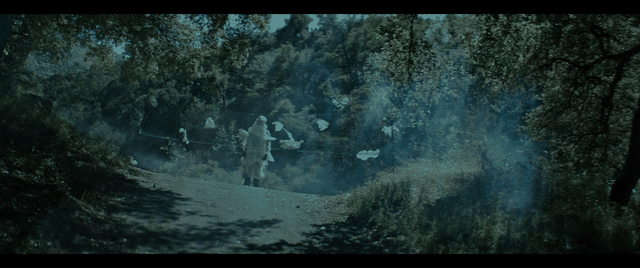 Mist, 2098
