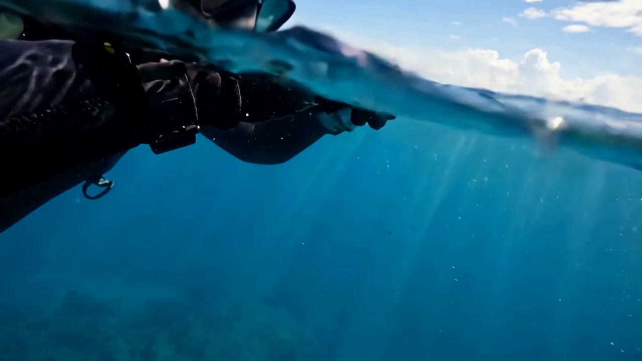 Muse Video 水下示例画面